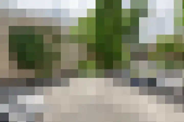 Van Halenstraat 15 Oude-Tonge thumbnail 24