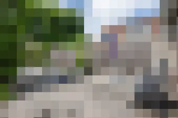 Van Halenstraat 15 Oude-Tonge thumbnail 25