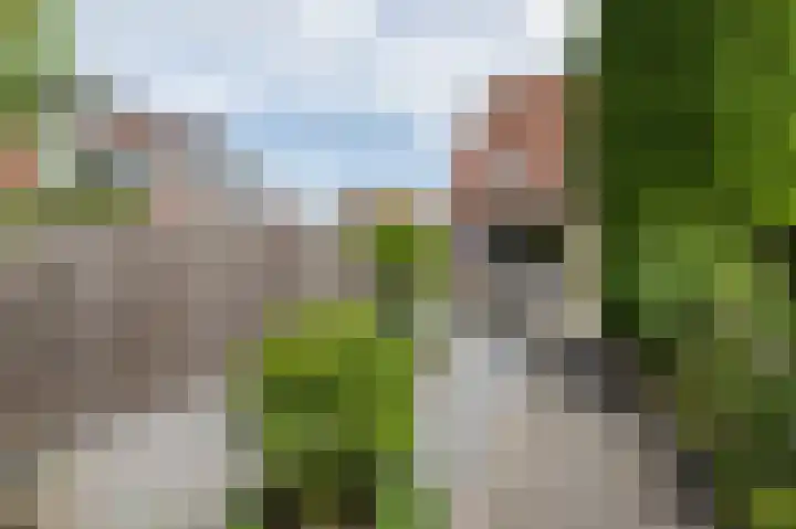 Van Halenstraat 15 Oude-Tonge thumbnail 26