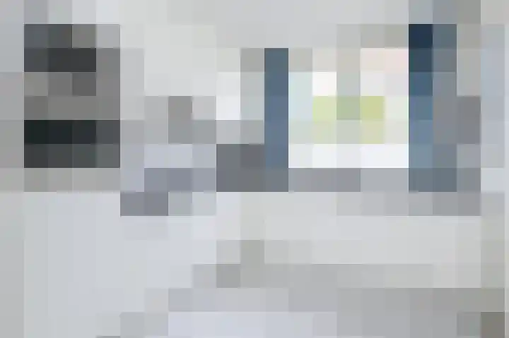 Van Halenstraat 15 Oude-Tonge thumbnail 4