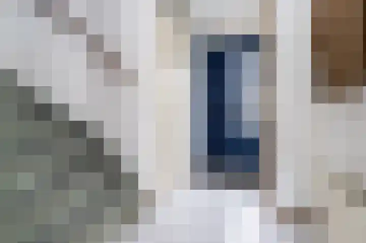 Van Halenstraat 15 Oude-Tonge thumbnail 5