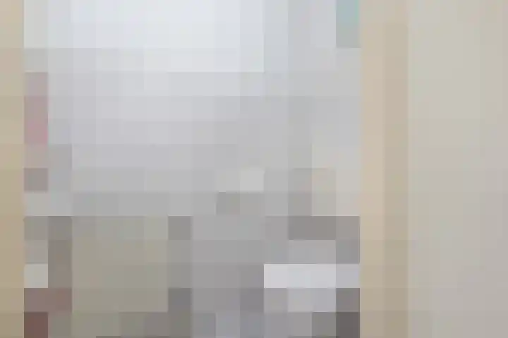Van Halenstraat 15 Oude-Tonge thumbnail 6