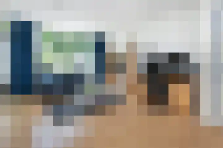 Van Halenstraat 15 Oude-Tonge thumbnail 8