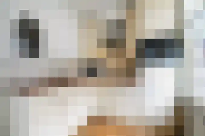 van Halewijnlaan 10 Voorburg thumbnail 11