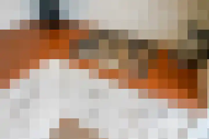 van Halewijnlaan 10 Voorburg thumbnail 12