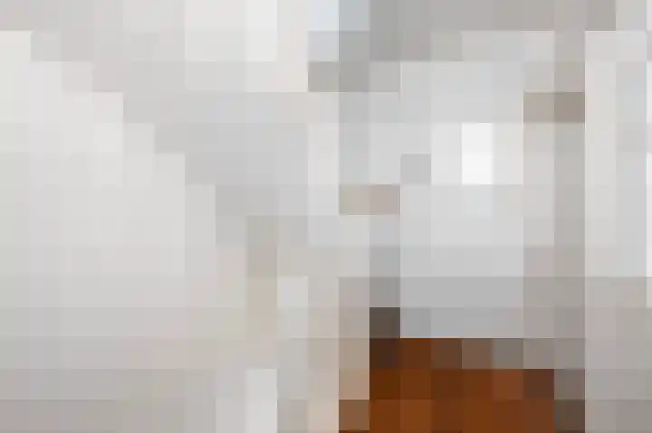 van Halewijnlaan 10 Voorburg thumbnail 15