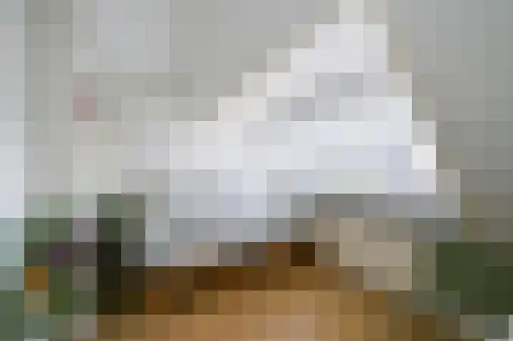 van Halewijnlaan 10 Voorburg thumbnail 20