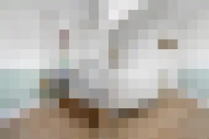 van Halewijnlaan 10 Voorburg thumbnail 21