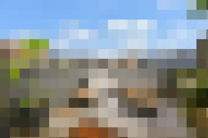 van Halewijnlaan 10 Voorburg thumbnail 25