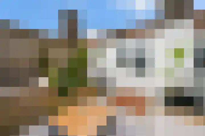 van Halewijnlaan 10 Voorburg thumbnail 26