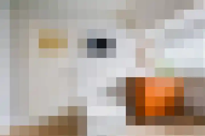 van Halewijnlaan 10 Voorburg thumbnail 27