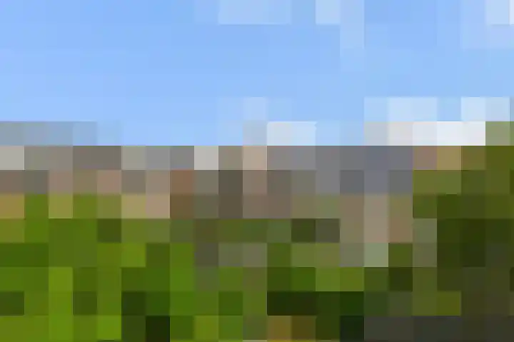 van Halewijnlaan 10 Voorburg thumbnail 31