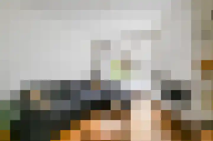 van Halewijnlaan 10 Voorburg thumbnail 4
