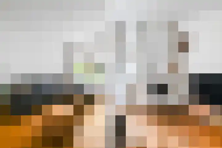 van Halewijnlaan 10 Voorburg thumbnail 5
