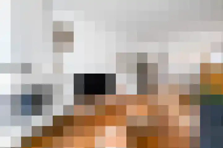 van Halewijnlaan 10 Voorburg thumbnail 7
