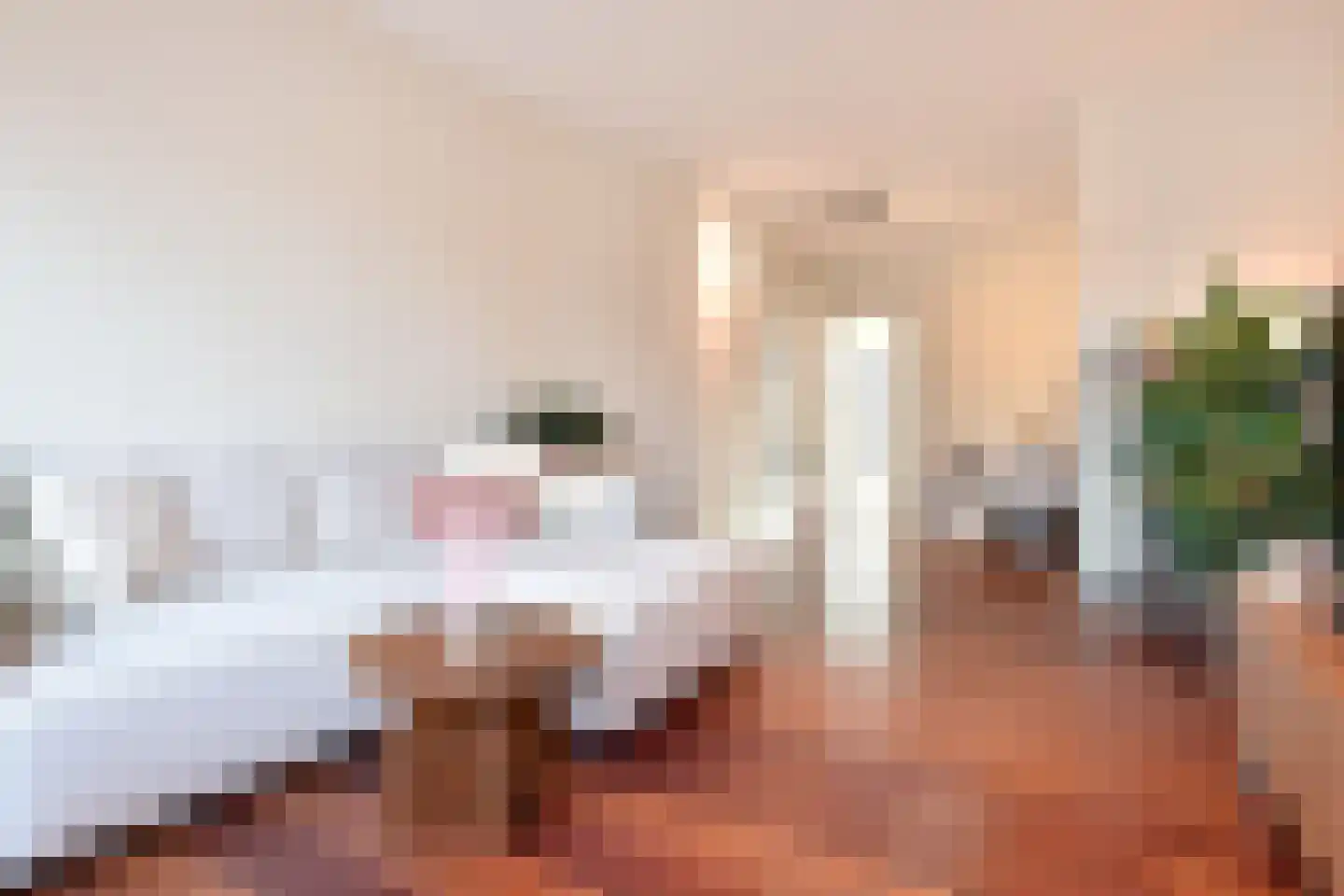 van Halewijnlaan 115 Voorburg thumbnail 13