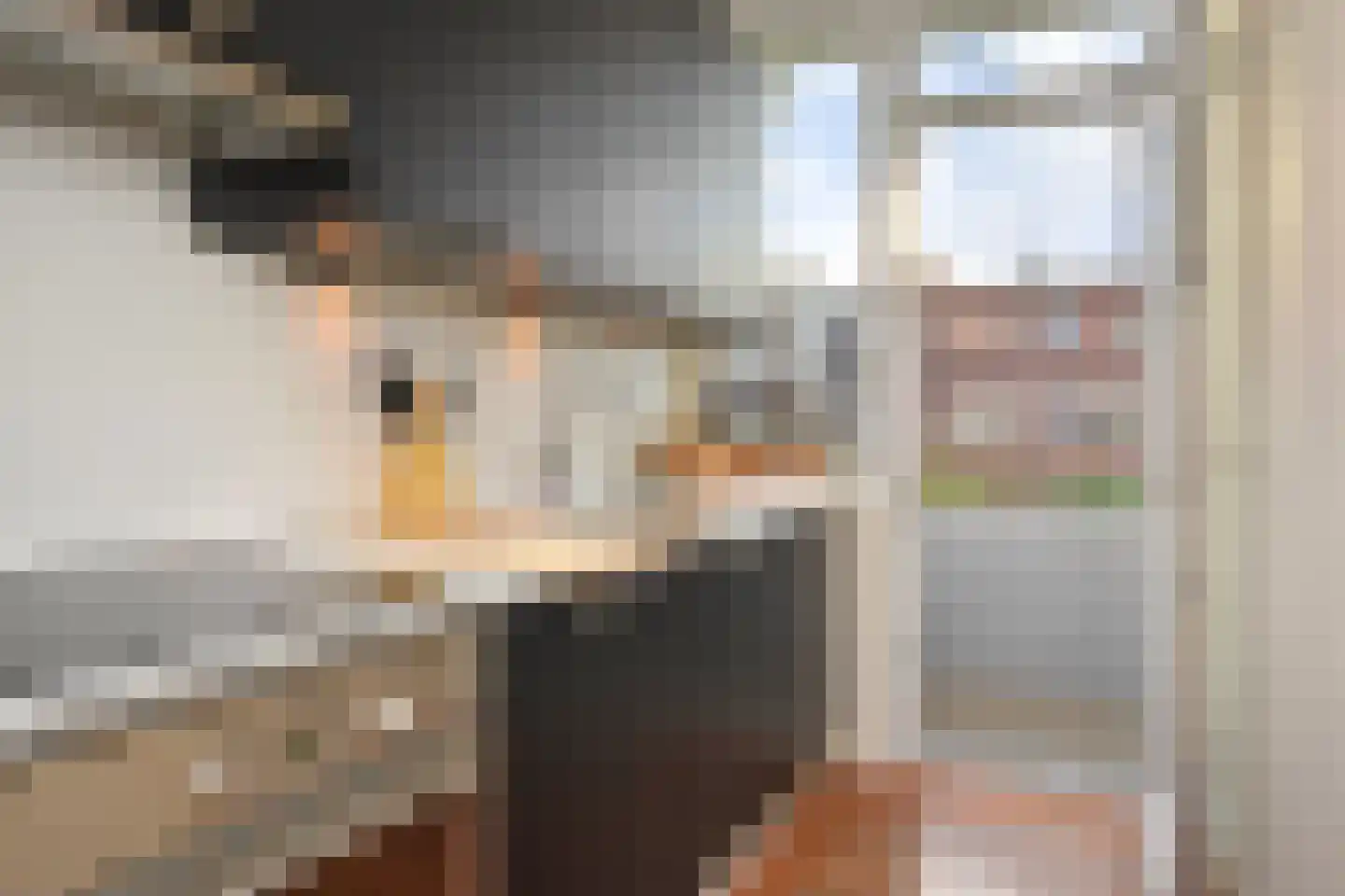 van Halewijnlaan 115 Voorburg thumbnail 18