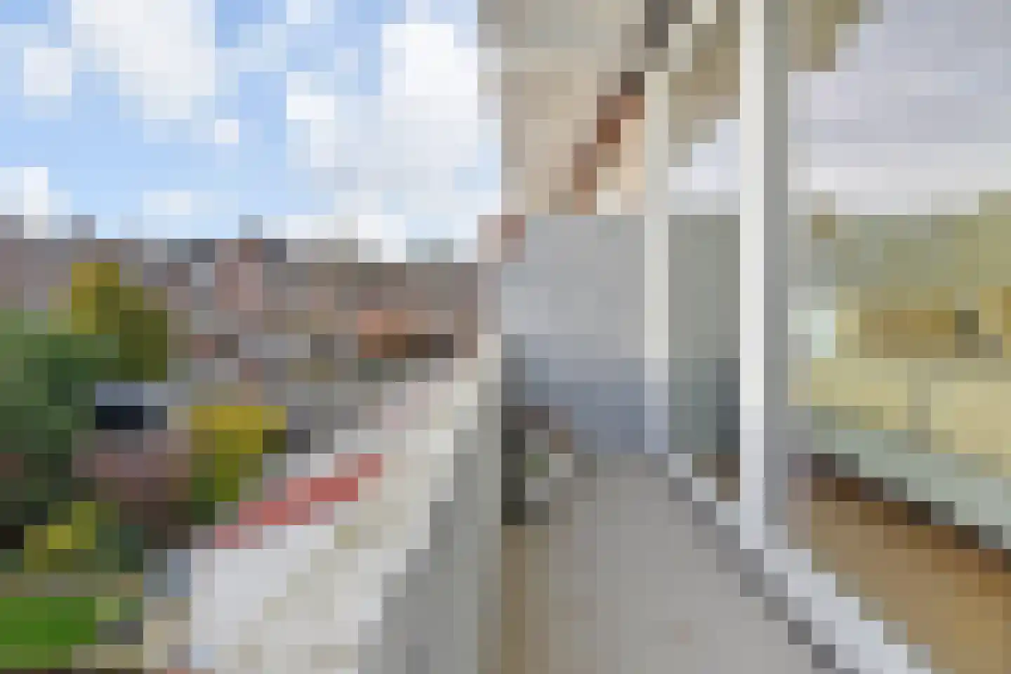 van Halewijnlaan 115 Voorburg thumbnail 20