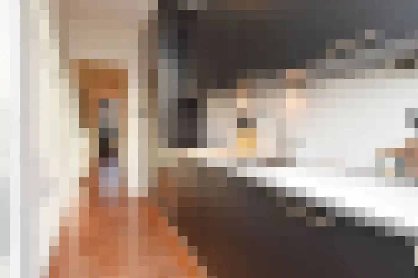 van Halewijnlaan 115 Voorburg thumbnail 22