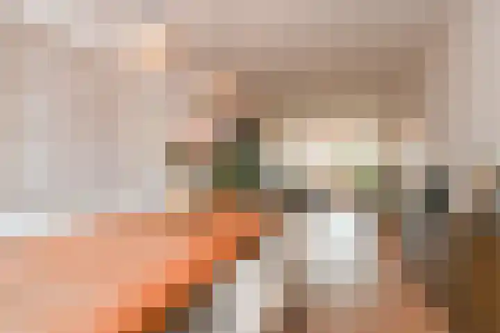 van Halewijnlaan 166 Voorburg thumbnail 4