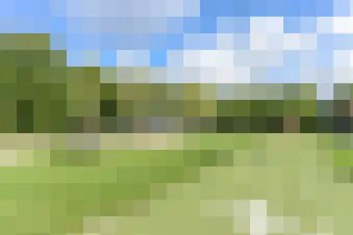 van Halewijnlaan 166 Voorburg thumbnail 45