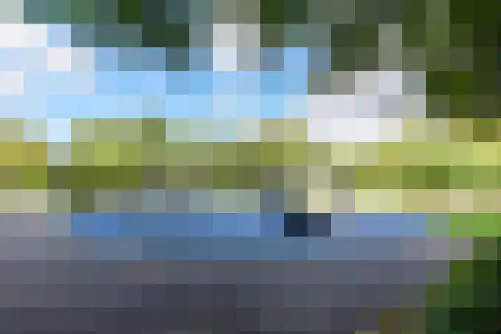 van Halewijnlaan 166 Voorburg thumbnail 47