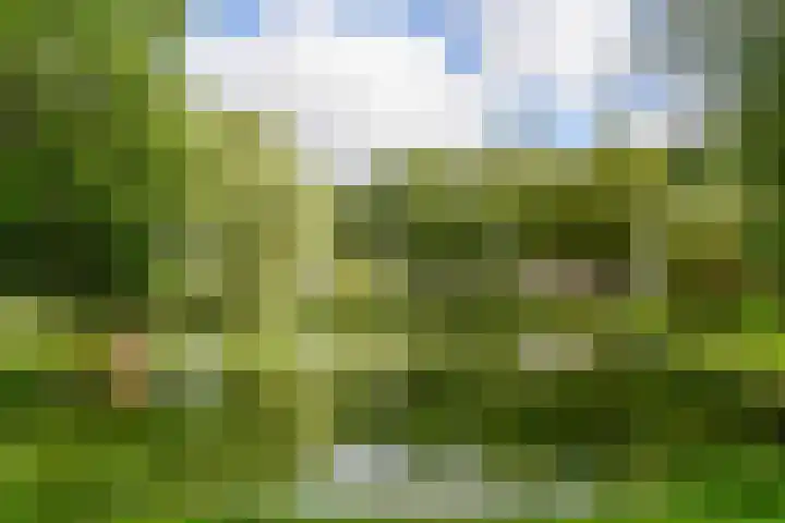 van Halewijnlaan 166 Voorburg thumbnail 49