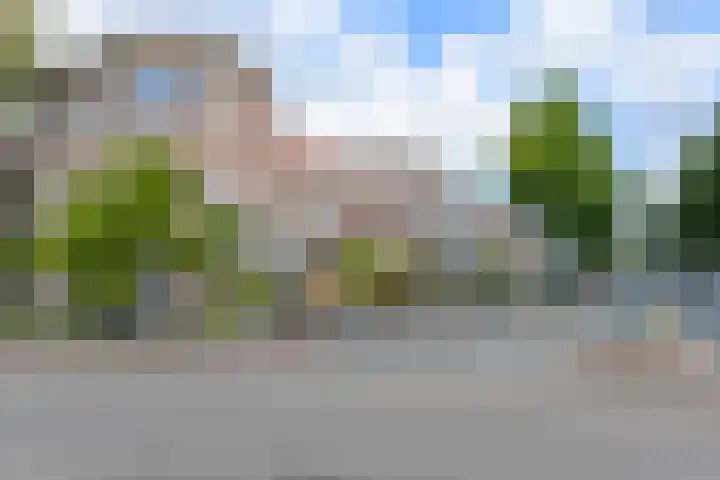 van Halewijnlaan 166 Voorburg thumbnail 52