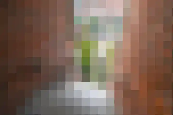 van Halewijnlaan 166 Voorburg thumbnail 8