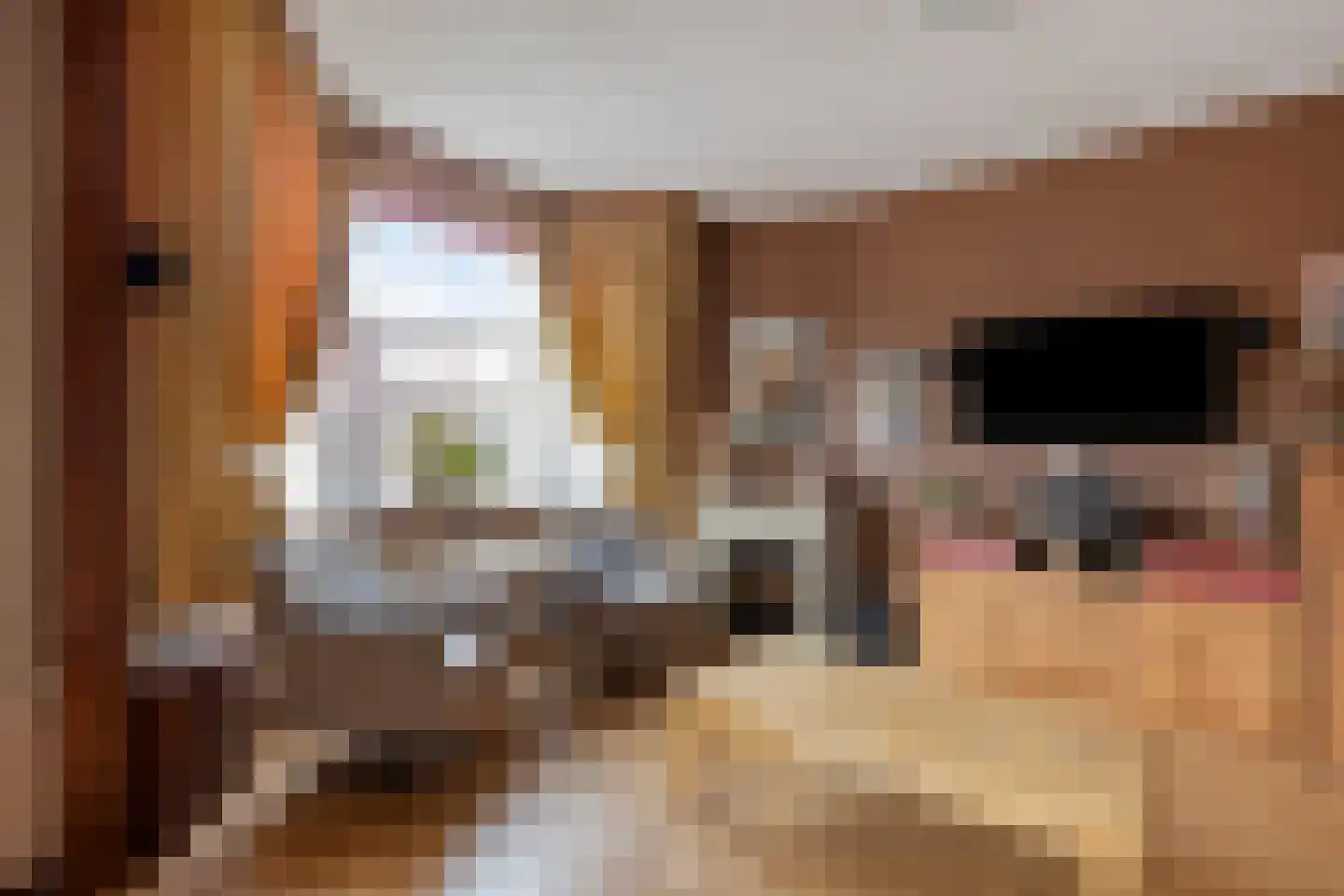 van Halewijnlaan 170 Voorburg thumbnail 10