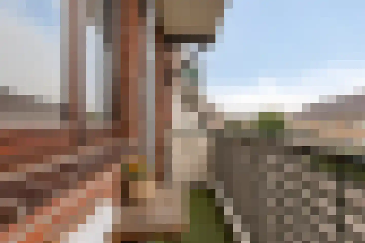 van Halewijnlaan 170 Voorburg thumbnail 24
