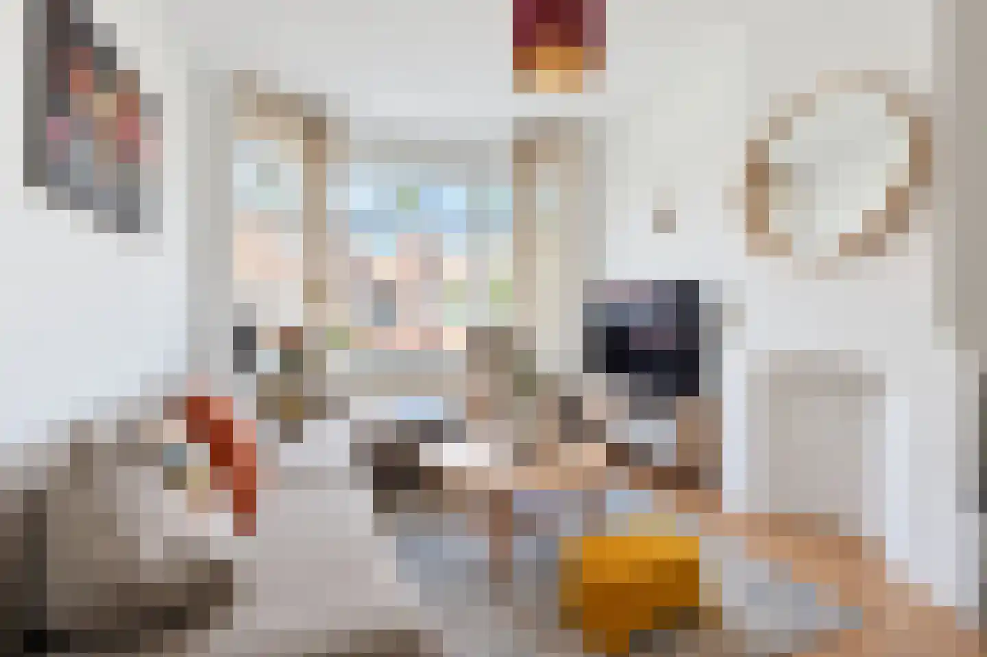 van Halewijnlaan 175 Voorburg thumbnail 16