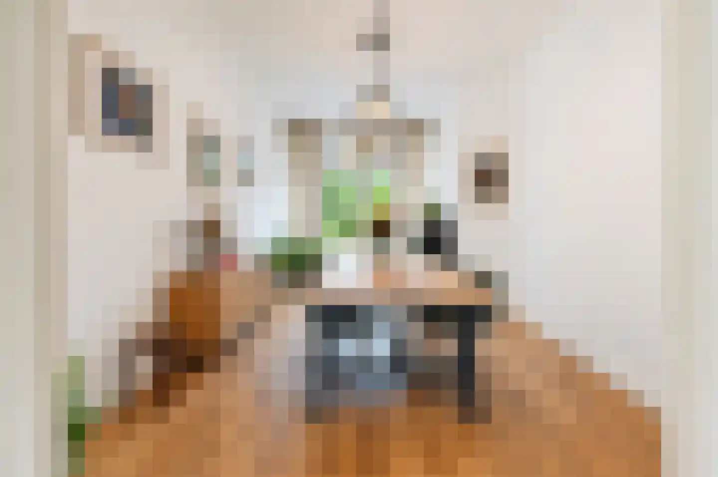 van Halewijnlaan 175 Voorburg thumbnail 19