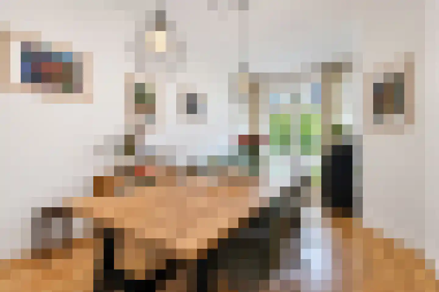 van Halewijnlaan 175 Voorburg thumbnail 20