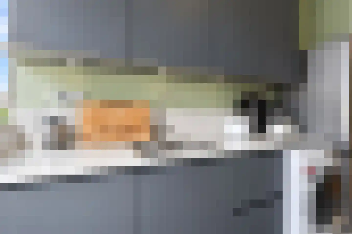 van Halewijnlaan 175 Voorburg thumbnail 25
