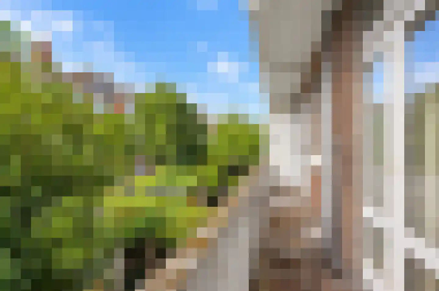 van Halewijnlaan 175 Voorburg thumbnail 27