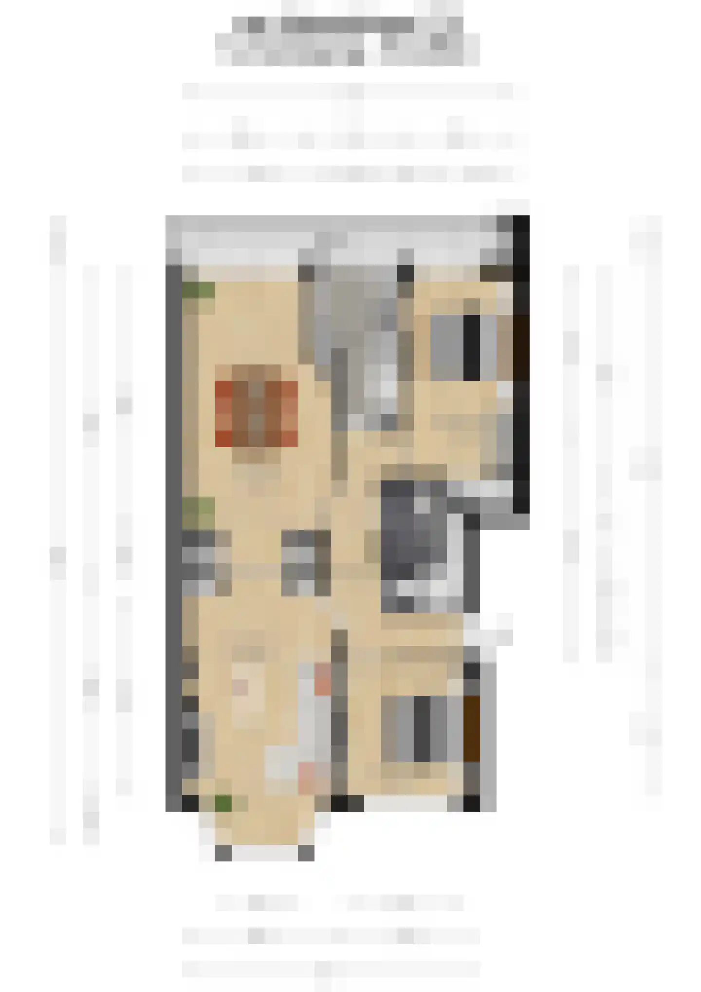 van Halewijnlaan 175 Voorburg thumbnail 33