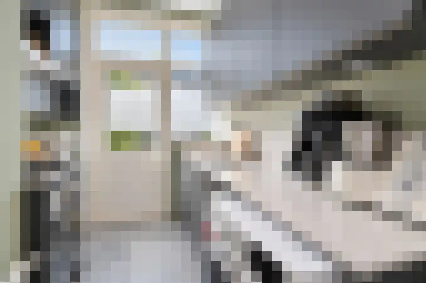 van Halewijnlaan 175 Voorburg thumbnail 4
