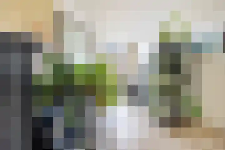 van Halewijnlaan 178 Voorburg thumbnail 14