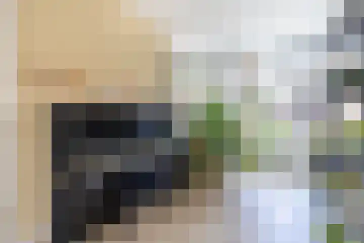 van Halewijnlaan 178 Voorburg thumbnail 15