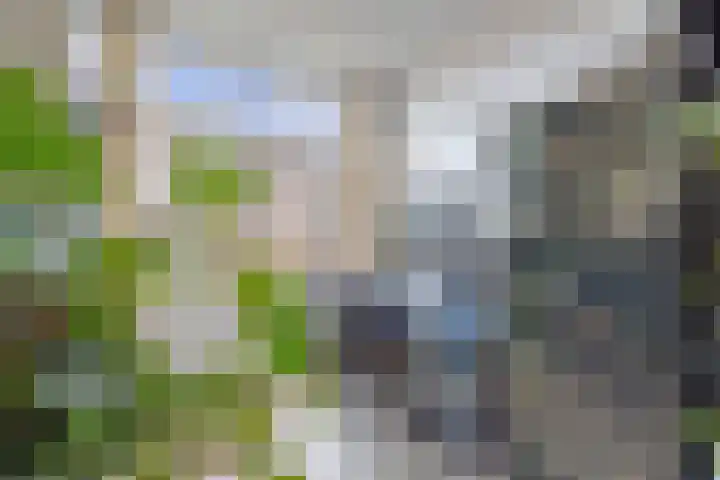 van Halewijnlaan 178 Voorburg thumbnail 16