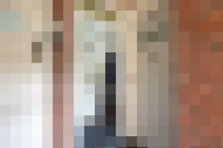 van Halewijnlaan 178 Voorburg thumbnail 4