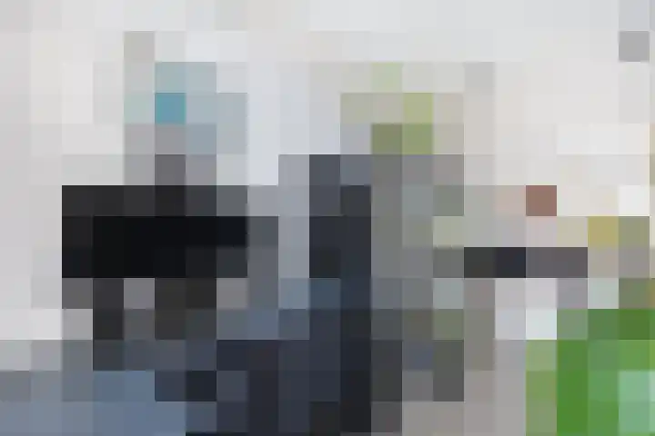 van Halewijnlaan 178 Voorburg thumbnail 9
