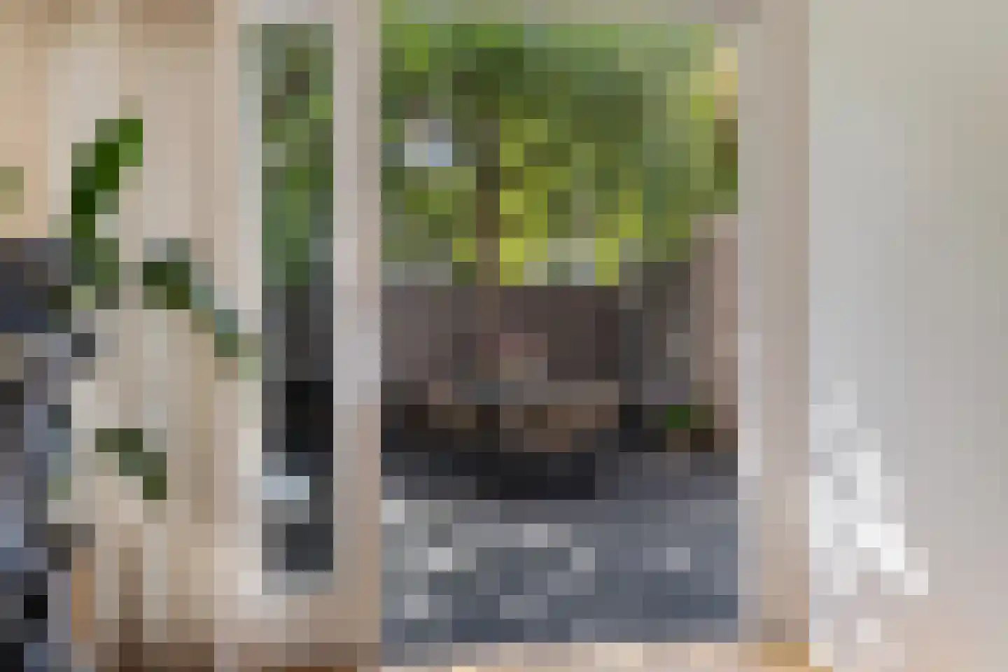 van Halewijnlaan 185 Voorburg thumbnail 13