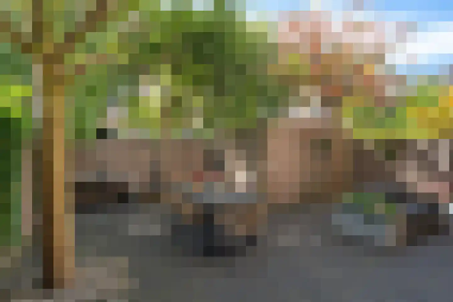 van Halewijnlaan 185 Voorburg thumbnail 15