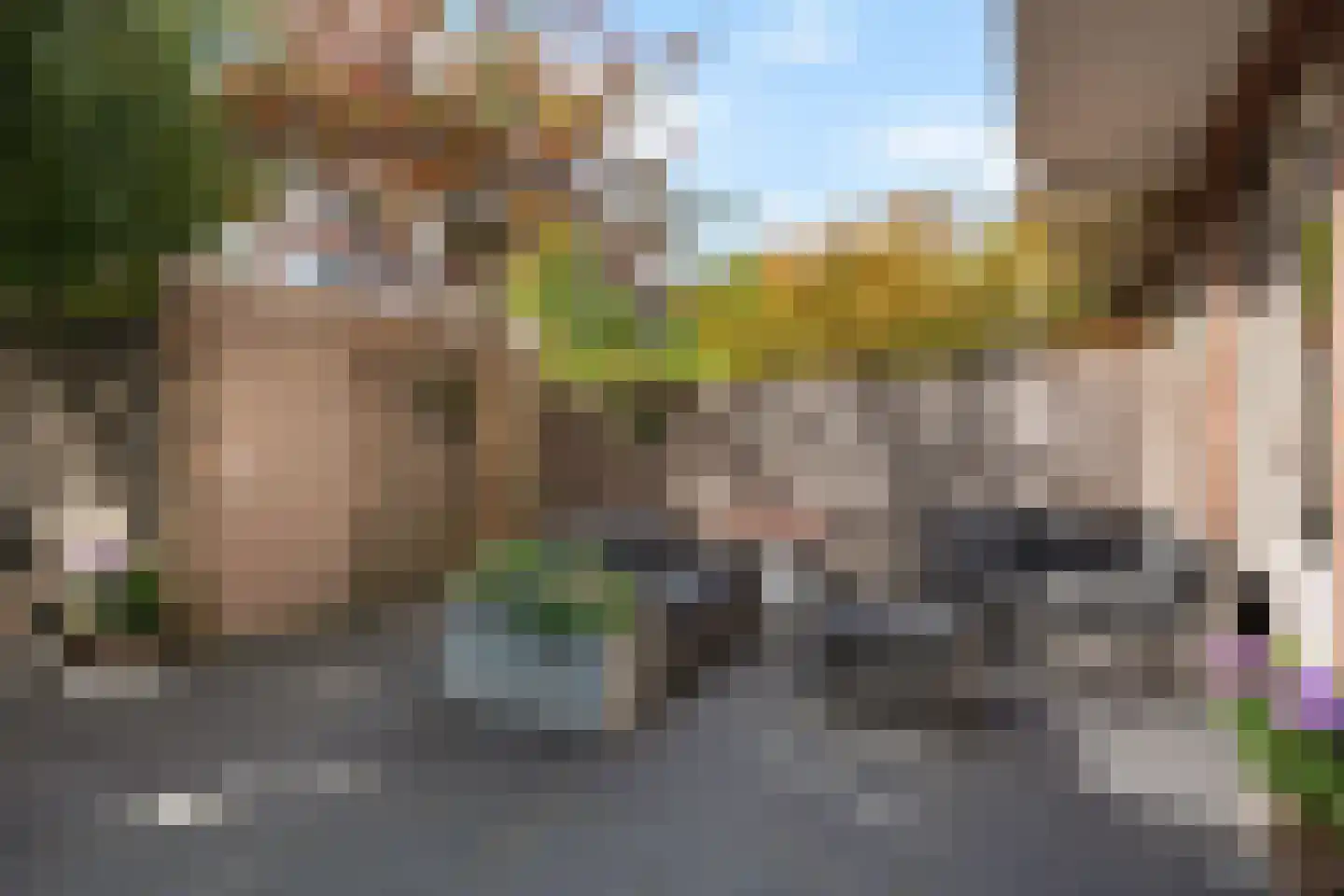 van Halewijnlaan 185 Voorburg thumbnail 16