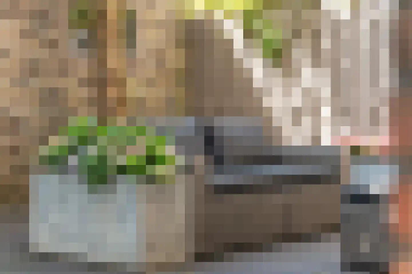 van Halewijnlaan 185 Voorburg thumbnail 17