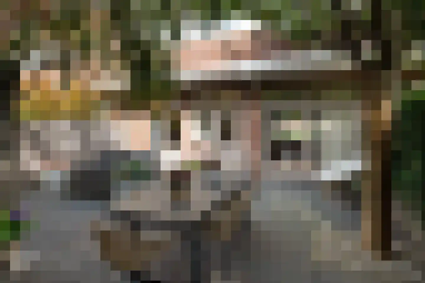 van Halewijnlaan 185 Voorburg thumbnail 18