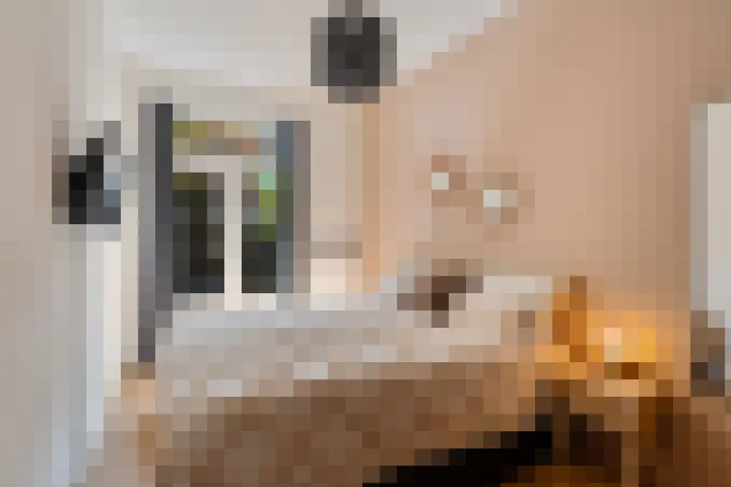 van Halewijnlaan 185 Voorburg thumbnail 23