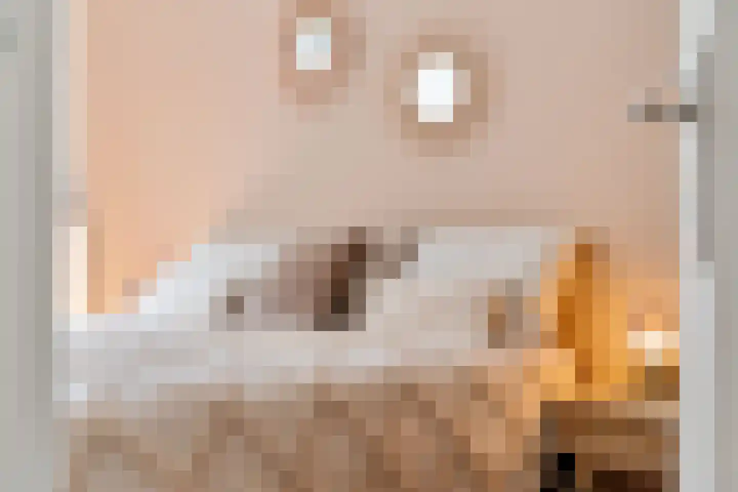 van Halewijnlaan 185 Voorburg thumbnail 24